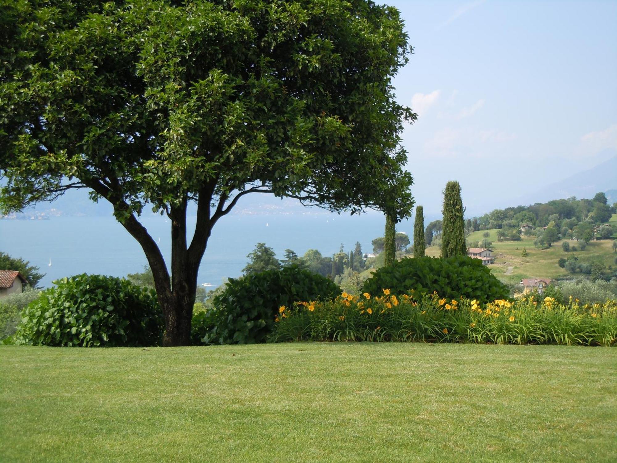 Il Poggio Di Bellagio Aparthotel Εξωτερικό φωτογραφία