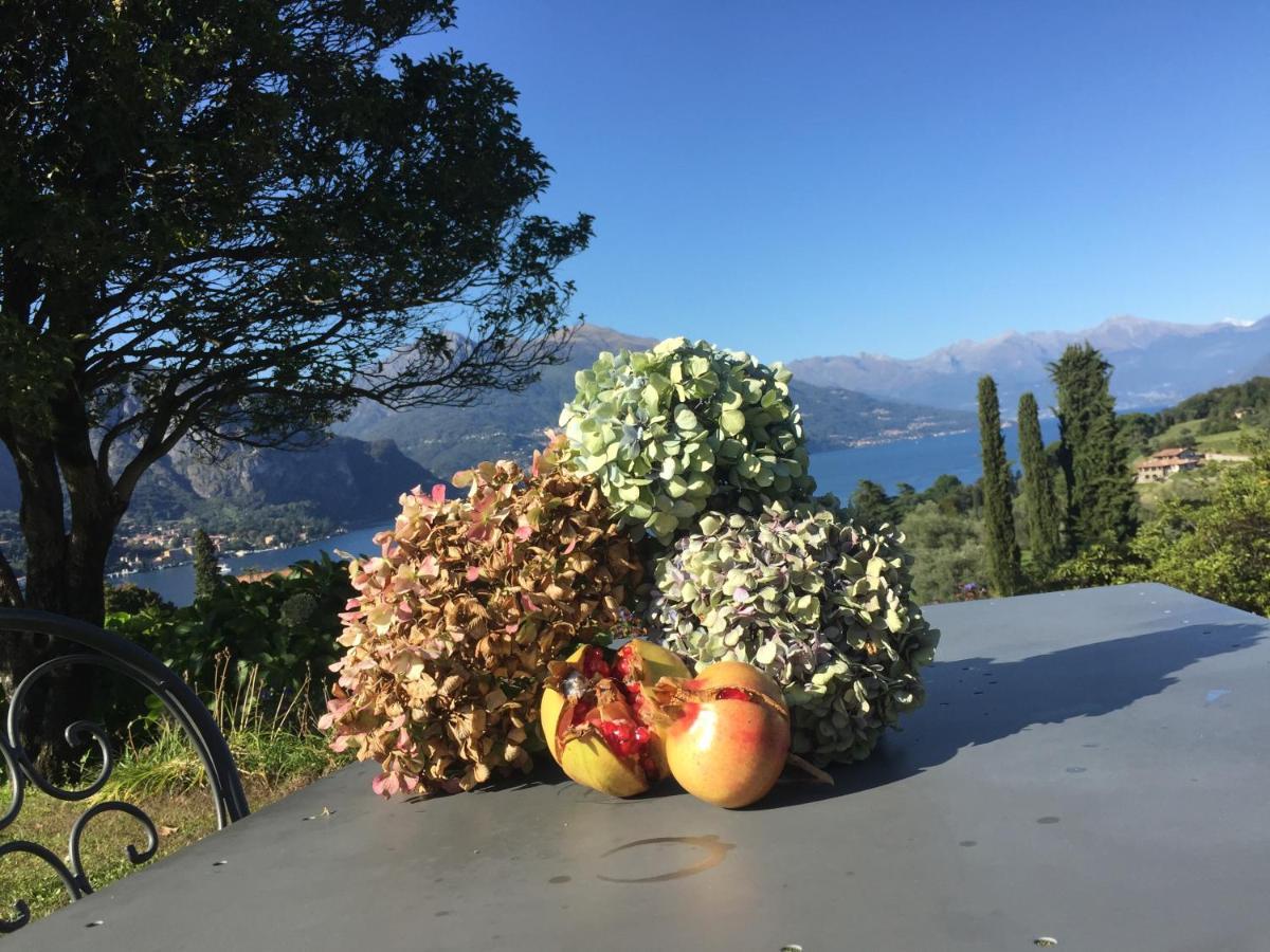 Il Poggio Di Bellagio Aparthotel Εξωτερικό φωτογραφία